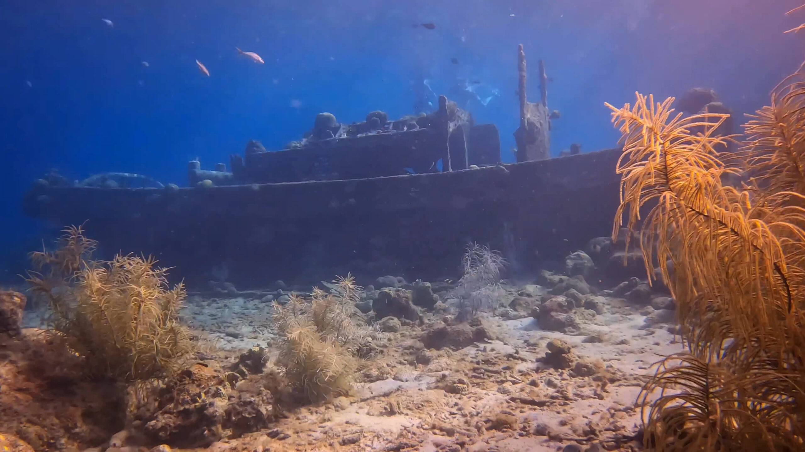 tugboat curacao snorkelen duiken 