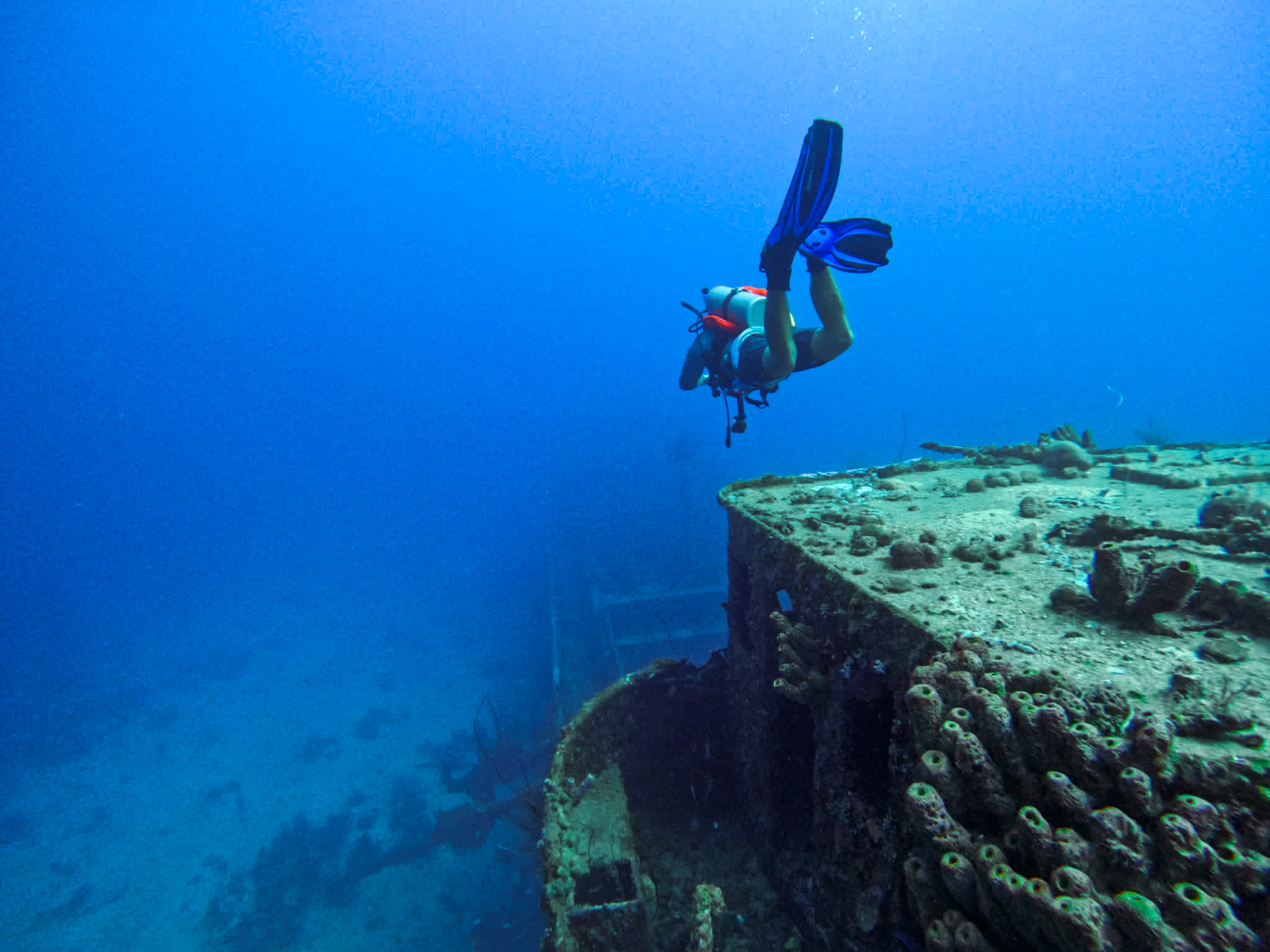 superior producer wreck dive 